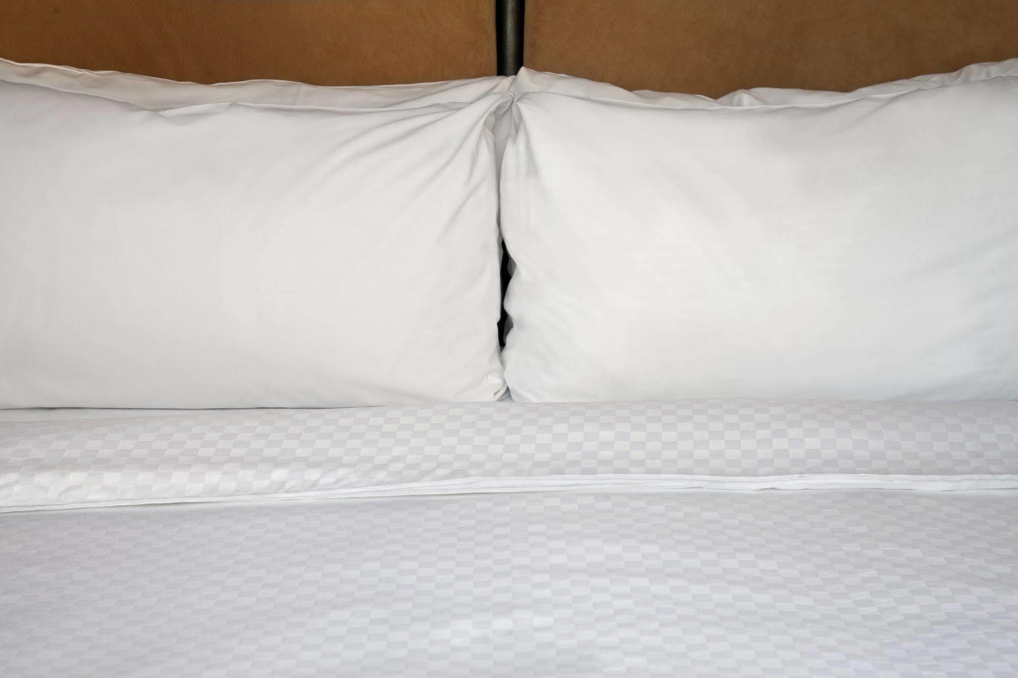 Sheraton Suites Fort Lauderdale At Cypress Creek Exteriör bild